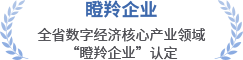 瞪羚企业