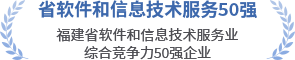 省软件和信息技术服务50强